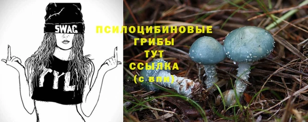 mdpv Армянск