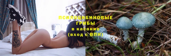 mdpv Армянск